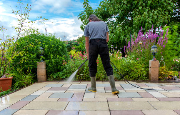 Best Restaurant Pressure Washing  in Maynardville, TN